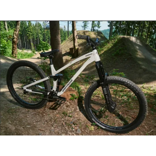 Dartmoor Jibbird s – MTB Full-Suspension Frame (Silver) | kasitro.live