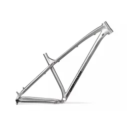 Dartmoor Primal 29 v.2 rám - Brushed Silver | kasitro.live