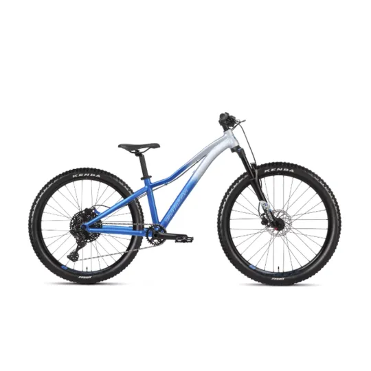 Dartmoor Sparrow Junior – Kids Trail Hardtail (Cool) | kasitro.live