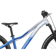 Dartmoor Sparrow Junior – dětský trail hardtail (Cool) | kasitro.live