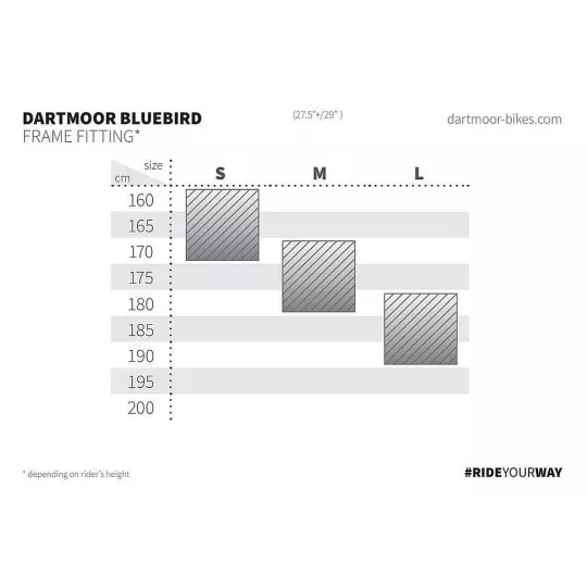 Dartmoor Jibbird Pro Kolo 27,5 - Brushed Silver | kasitro.live