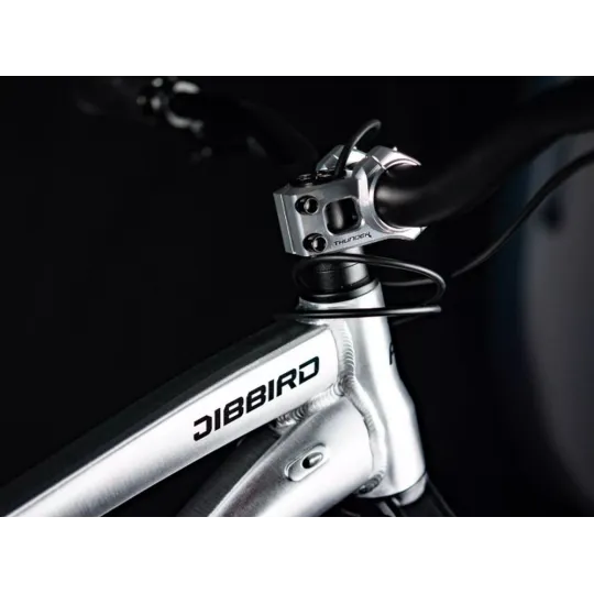 Dartmoor Jibbird Pro Kolo 27,5 - Brushed Silver | kasitro.live