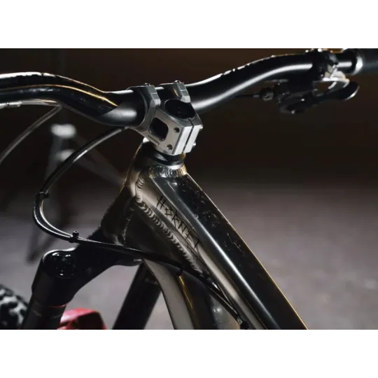 Dartmoor THUNDER 35 mm – Bike Stem (silver) | kasitro.live