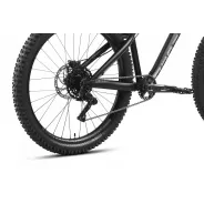 Dartmoor Hornet – gravity hardtail kolo | kasitro.live