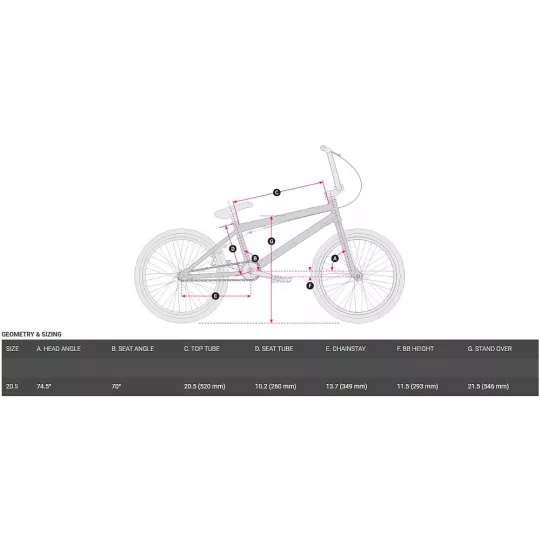 Haro Leucadia – Freestyle BMX Bike (Grey) | kasitro.live