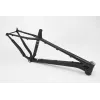 NS Eccentric EVO 29 Alu – MTB Hardtail Frame | kasitro.live