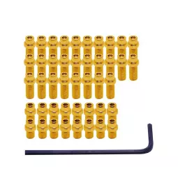 DMR Bikes Vault Flip Pin set gold