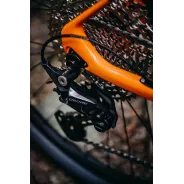 Accent Peak 29 Carbon Deore – XC kolo | kasitro.live