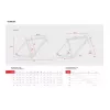 Accent Furious PRO – Road Bike Frame | kasitro.live