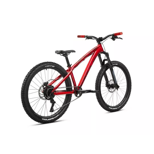 Dartmoor Hornet 26 – Dirt/Bikepark Bike | kasitro.live