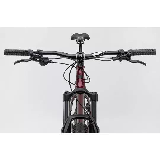 NS Bikes Eccentric CrMo 29 – ocelový hardtail | kasitro.live