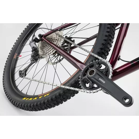 NS Bikes Eccentric CrMo 29 – ocelový hardtail | kasitro.live