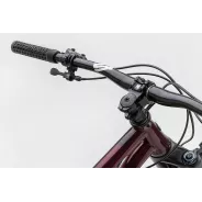 NS Bikes Eccentric CrMo 29 – Steel Hardtail | kasitro.live