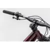 NS Bikes Eccentric CrMo 29 – Steel Hardtail | kasitro.live
