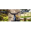 DMR Sect 26" – dirt/slopestyle kolo | kasitro.live